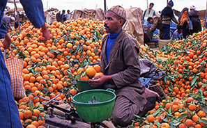 Morocco : Travel :  Photos : Richard Moore : Photographer